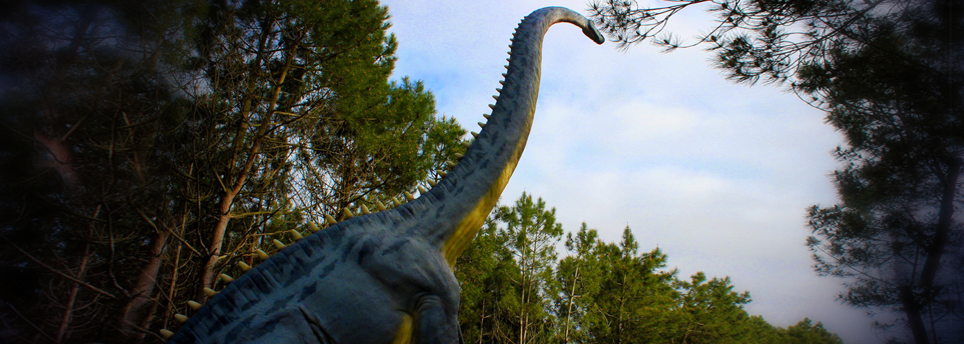 Diplodocus<span>.</span>
