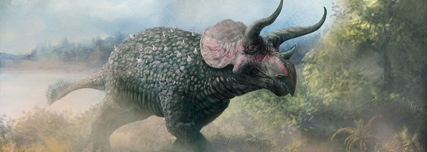 Triceratops<span>.</span>