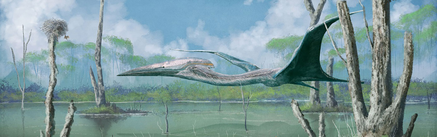 Pterosauriërs<span>.</span>