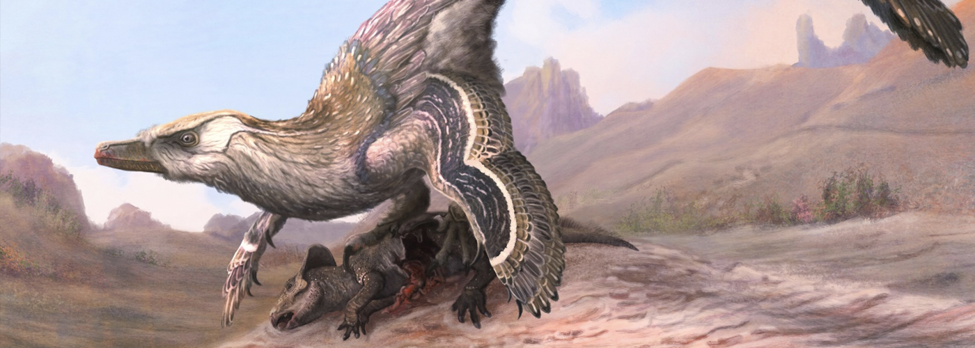 Velociraptor<span>.</span>