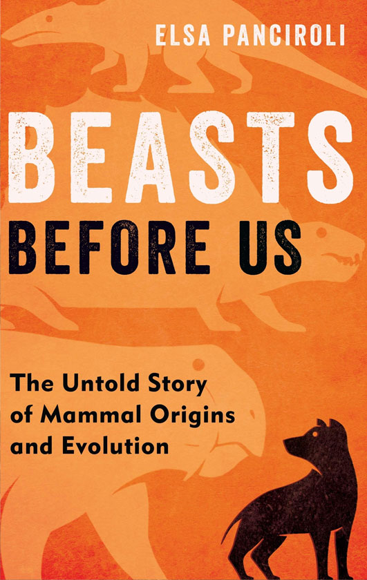 Beasts Before Us<span>.</span>