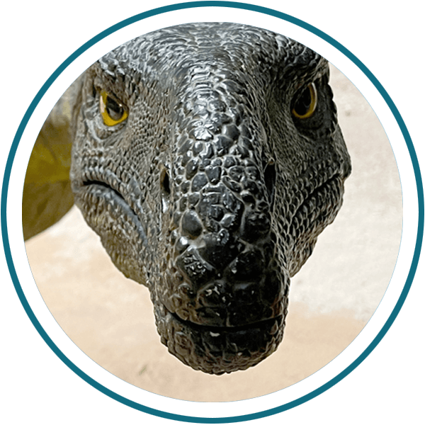 /Plateosaurus