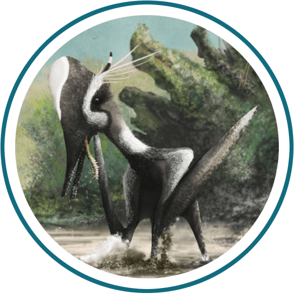 /Pterosauriërs