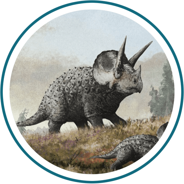 /Triceratops
