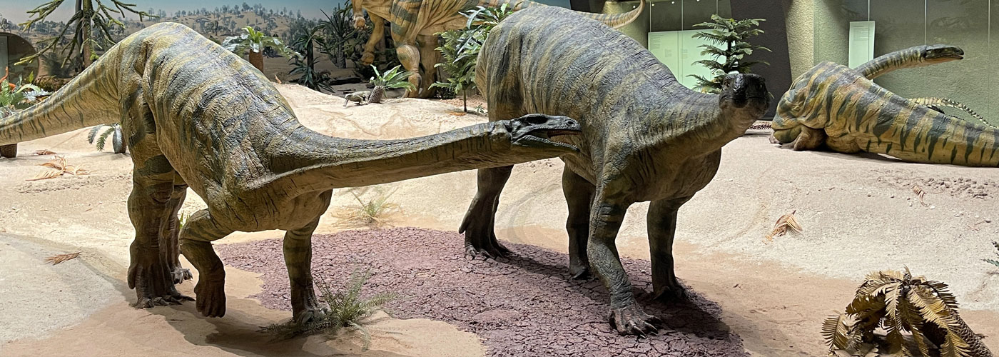 Plateosaurus modellen<span>.</span>