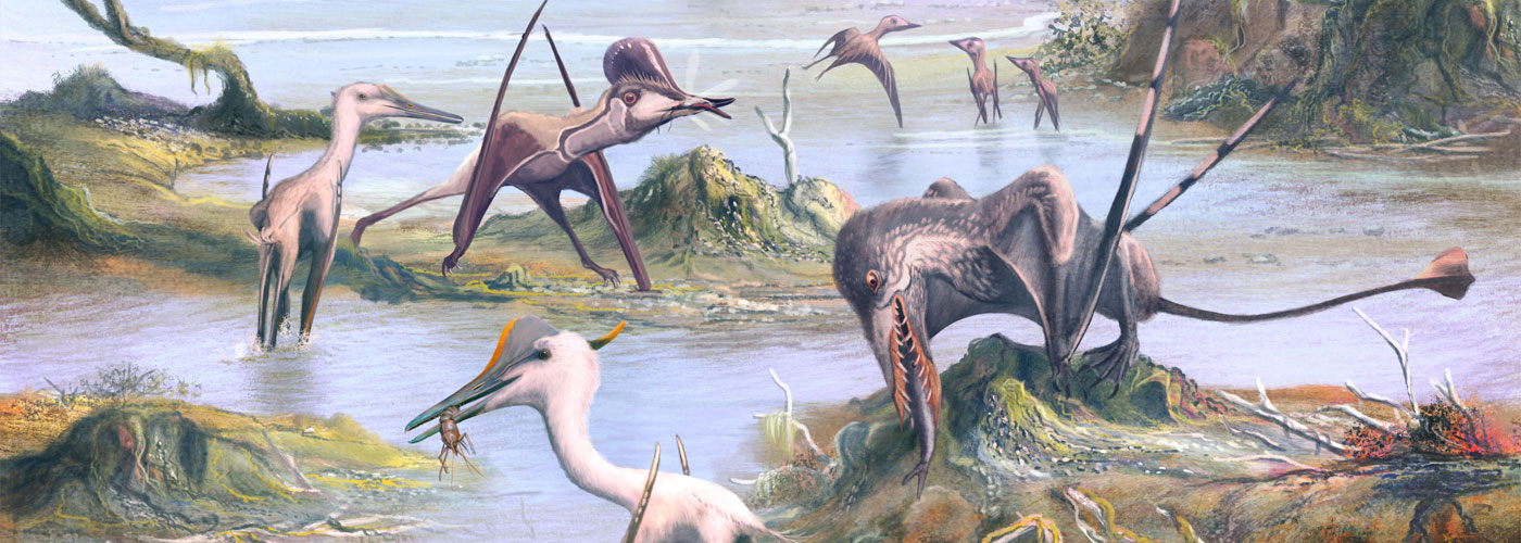 Pterosaurier-Mark-Witton<span>.</span>