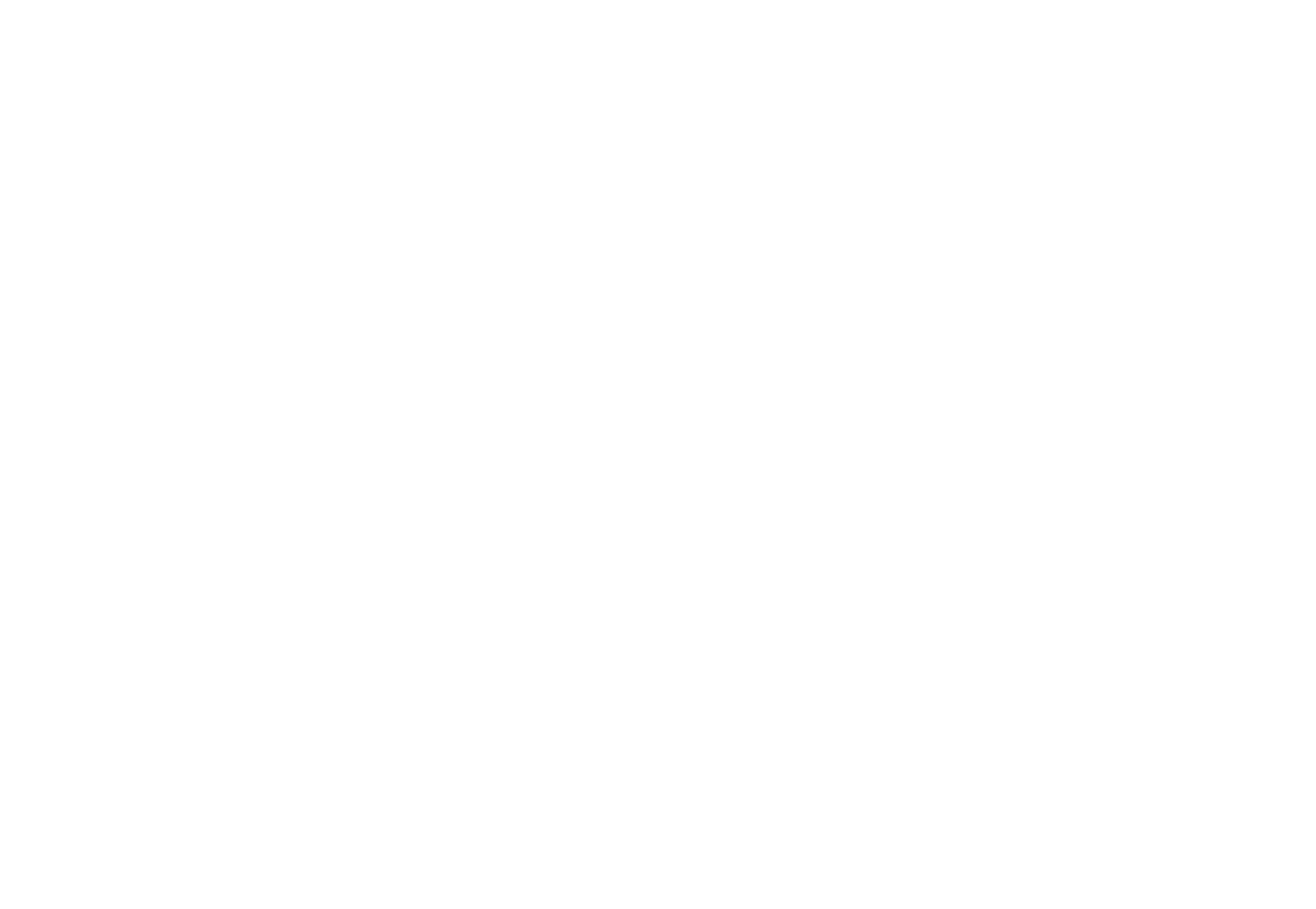 Dinocast<span>.</span>
